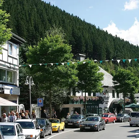 Apart Otel Haus Christel Willingen (Upland)